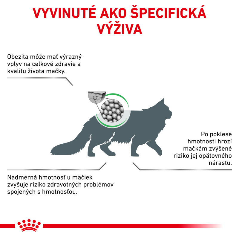 veterinary-health-nutrition-cat-satiety-14